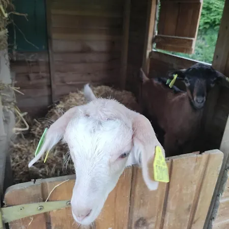 Le St Vel' Velennes (Oise)